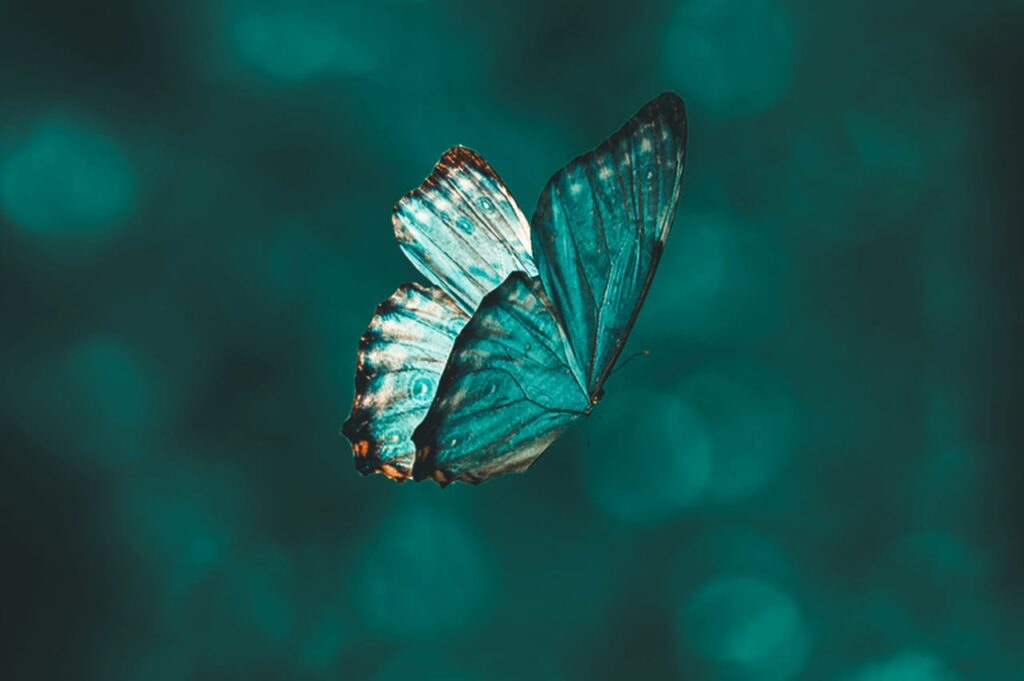 Soul Retrieval: Why You Can Be Functioning Fine and Still Feel Like Something Is Missing